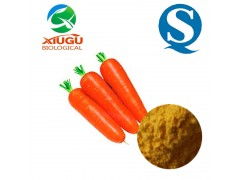 纯天然胡萝卜粉 从田园到餐桌，厂家直销助力食品产业升级