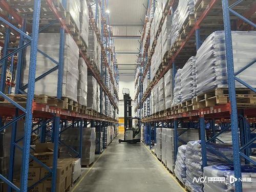 佛山宠物食品企业 年销售额突破八千万元，持续实现翻倍增长