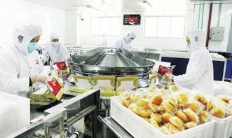 南航长春航空食品厂 食品质量安全为生命线，销售业绩持续攀升