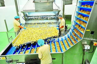 食品厂落地产品处理与销售策略